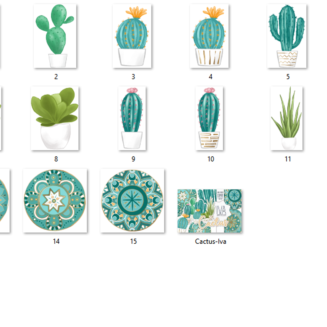 Kit Digital Cactus  2