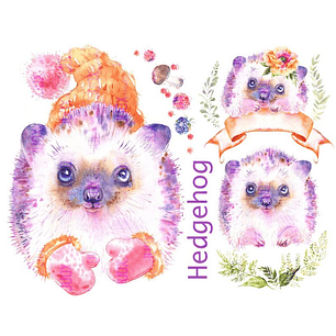 Kit Digital Bebê Ouriço 