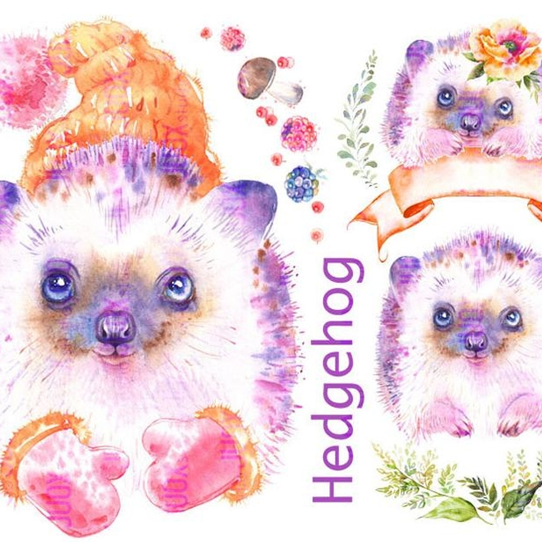 Kit Digital Bebê Ouriço  1