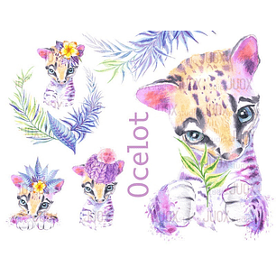 Kit Digital Bebê Jaguatirica