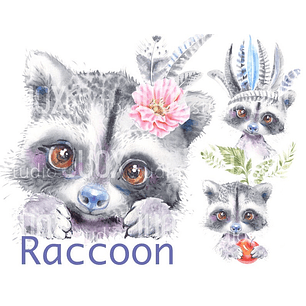 Kit Digital Bebê Guaxinim