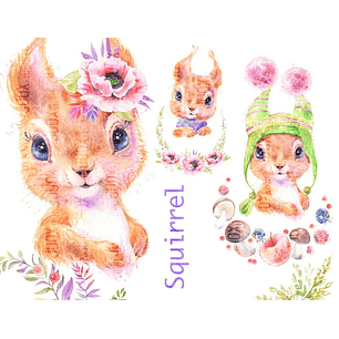 Kit Digital Esquilo Bebê