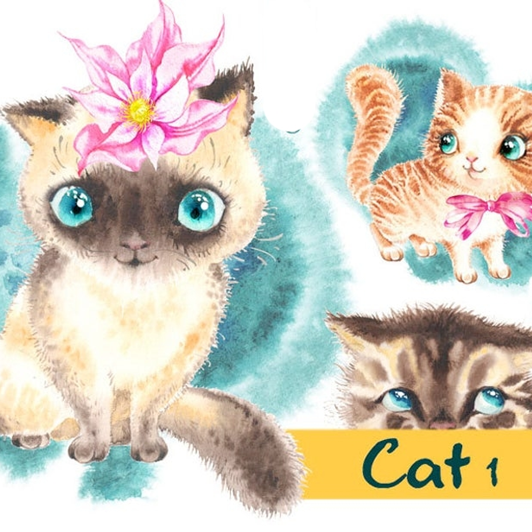 Kit Digital Bebê Gato  1