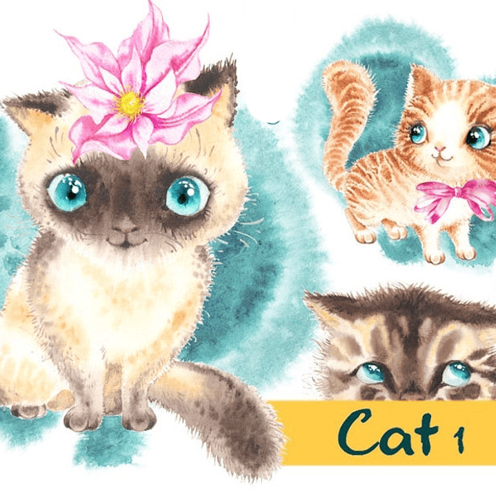 Kit Digital Bebê Gato  1