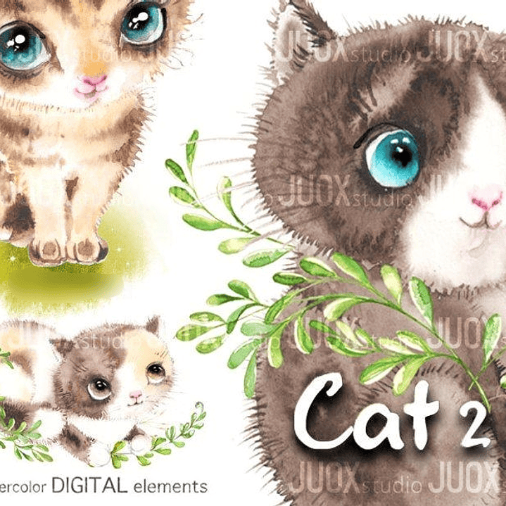 Kit Digital Bebês Gatinhos 2 1