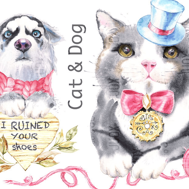 Kit Digital Cão e Gato  1