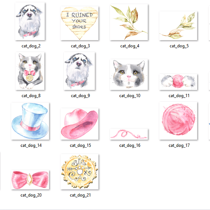 Kit Digital Cão e Gato  2