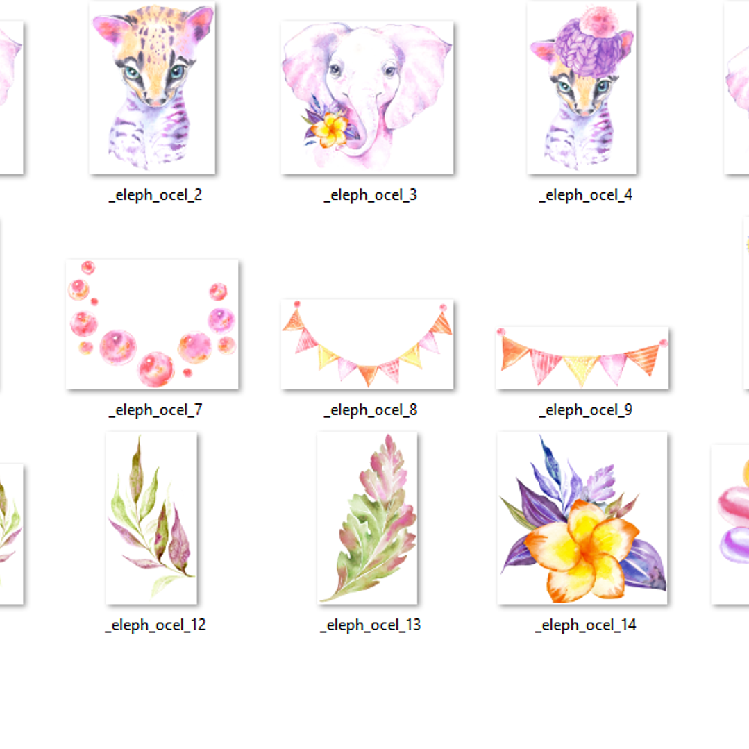 Kit Digital Elefante e Jaguatirica 2