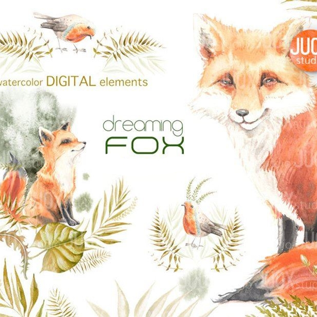 Kit Digital Raposa  1