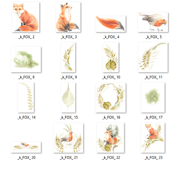 Kit Digital Raposa  2