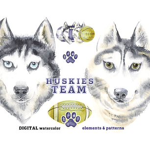 Kit Digital Equipe de Huskies