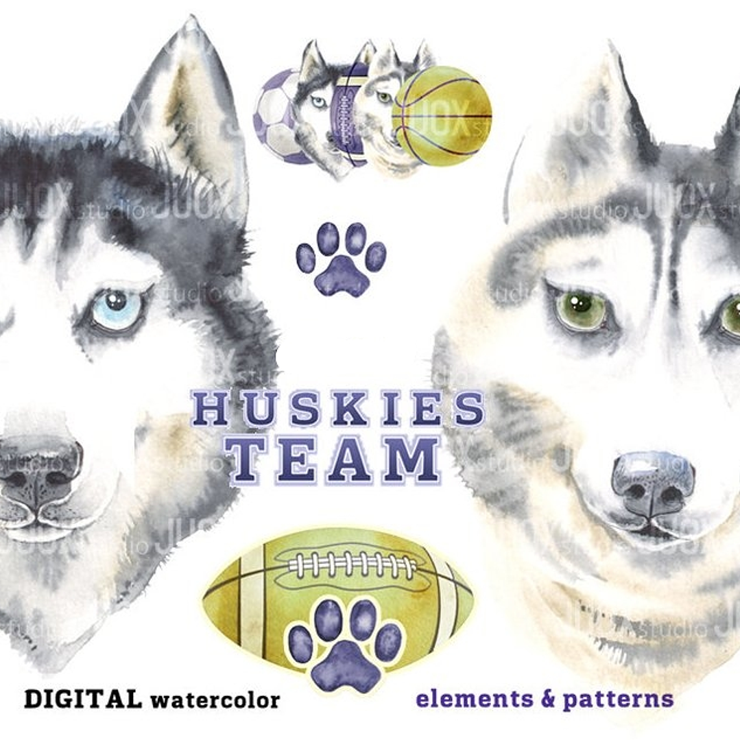 Kit Digital Equipe de Huskies 1