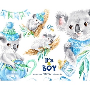 Kit Digital Koala Menino 