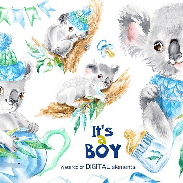 Kit Digital Koala Menino  1