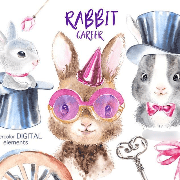 Kit Digital Carreira de Coelho 1