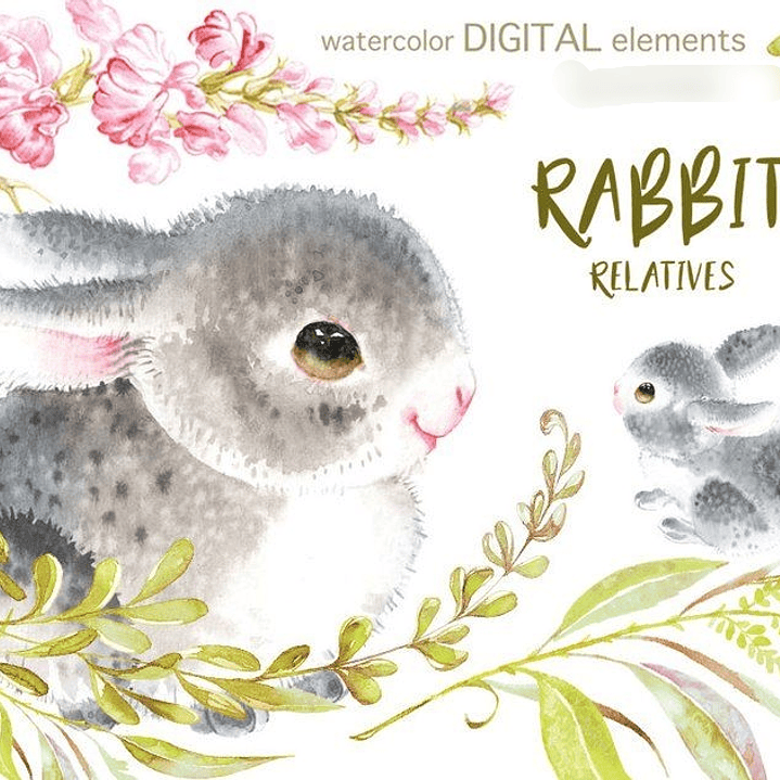 Kit Digital Parente de Coelho  1