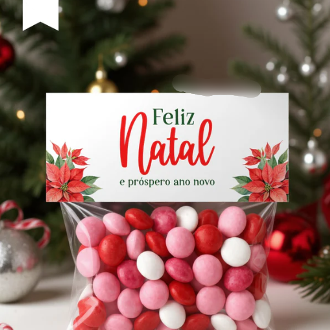 Arquivo Natal Kit Lapela  2