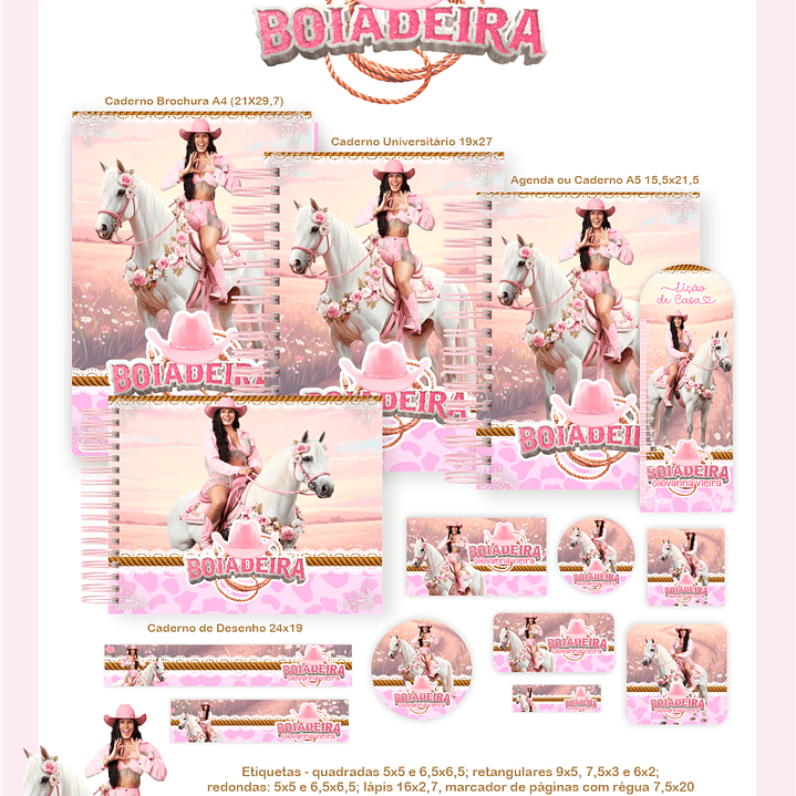 Arquivo Encadernação Escolar 2026 Ana Castela Boiadeira  1
