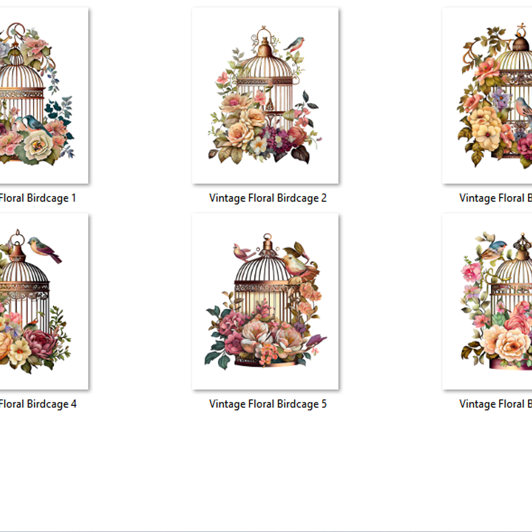 Kit Digital Pássaros Gaiola  2