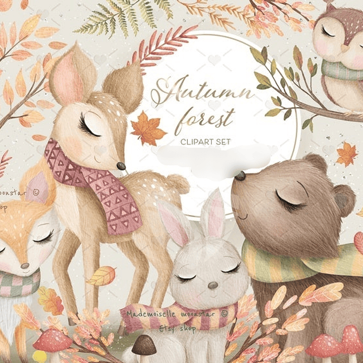 Kit Digital Bosque  1