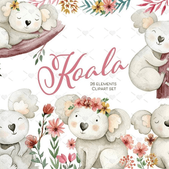 Kit Digital Koala  1