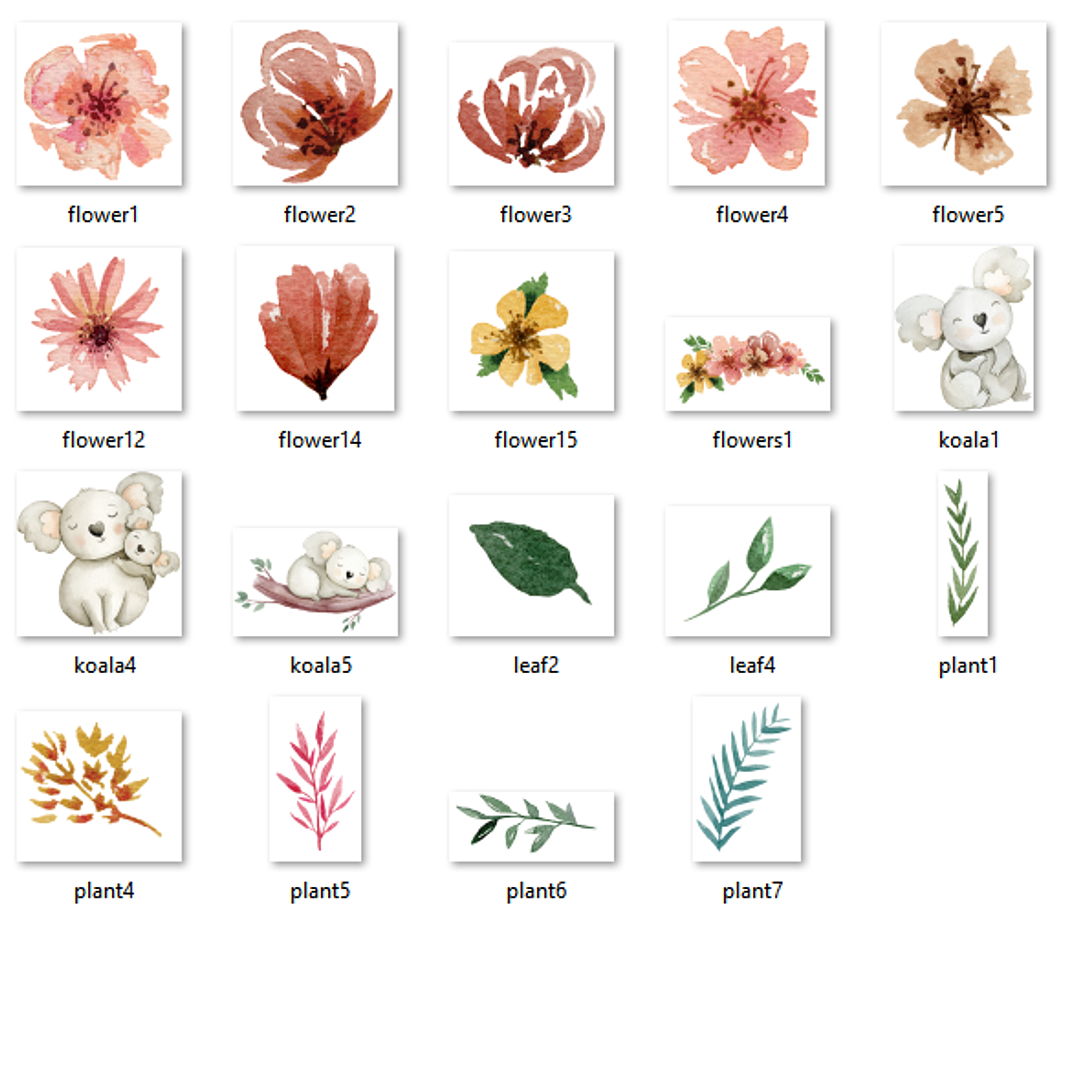 Kit Digital Koala  2