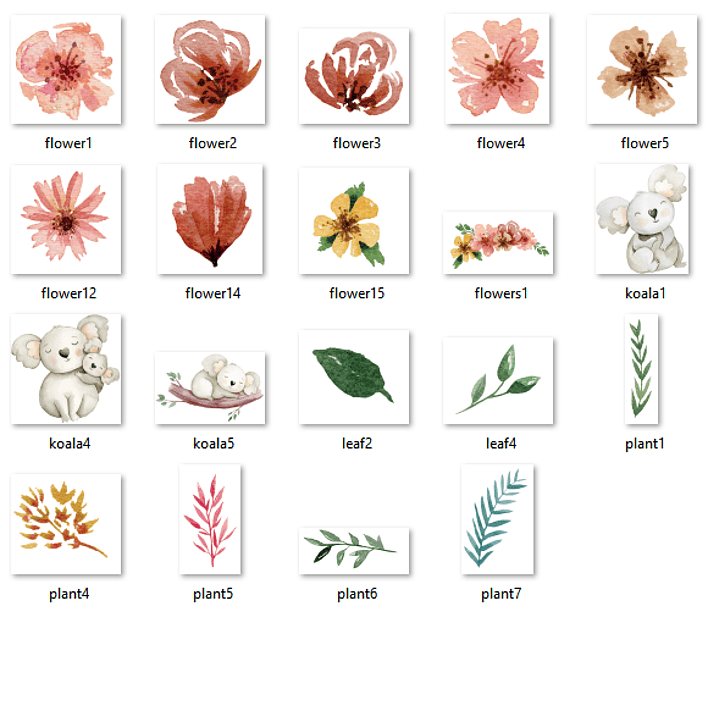 Kit Digital Koala  2