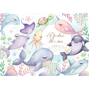 Kit Digital Debaixo do Mar 