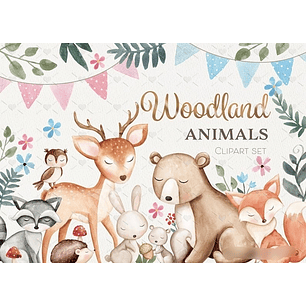 Kit Digital Safari Floresta 