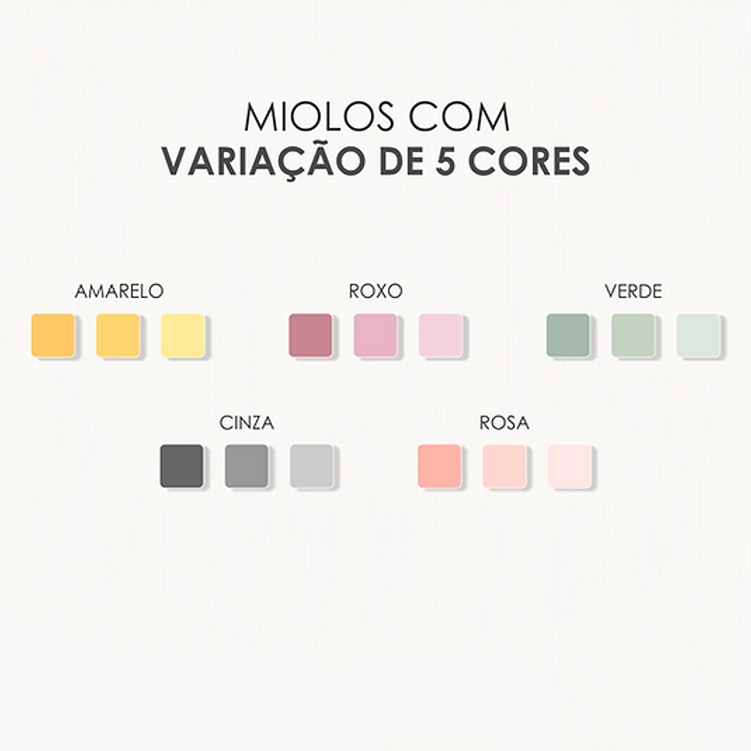 Arquivo Miolo Agenda do Estudante 2026  4