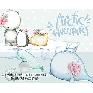 Kit Digital Animais da Antártica 