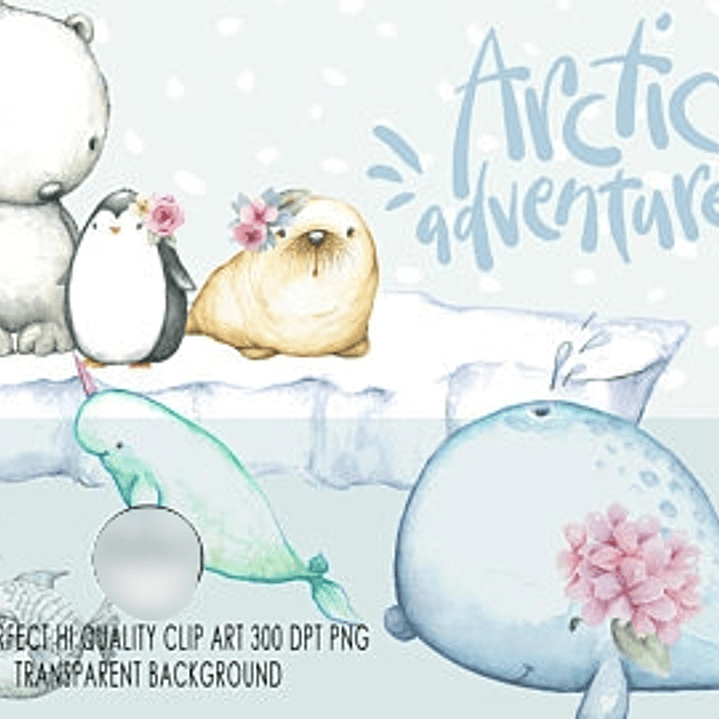 Kit Digital Animais da Antártica  1