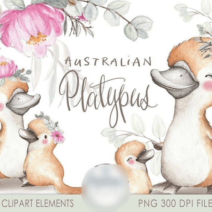 Kit Digital Ornitorrinco Australiano 1