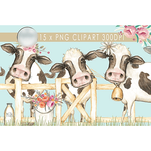 Kit Digital Vaquinha