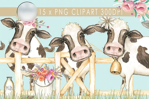 Kit Digital Vaquinha