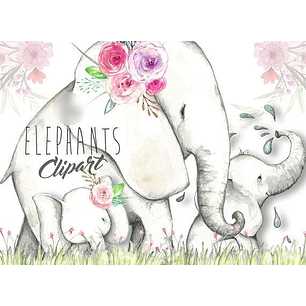 Kit Digital Elefantes 