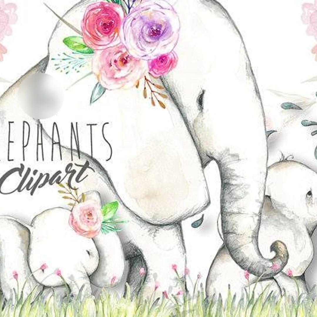 Kit Digital Elefantes  1