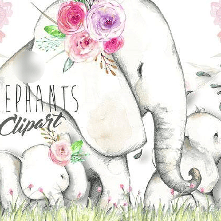 Kit Digital Elefantes  1