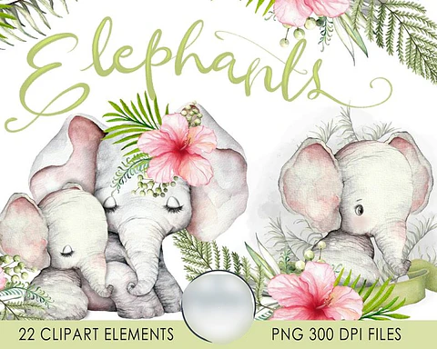 Kit Digital Elefantes 