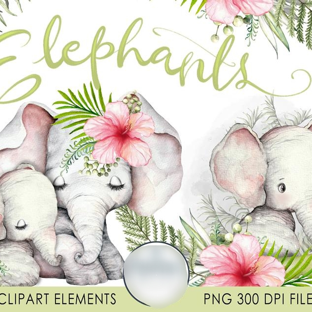 Kit Digital Elefantes  1