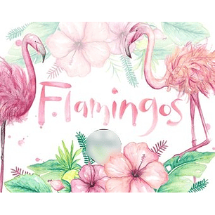 Kit Digital Flamingo