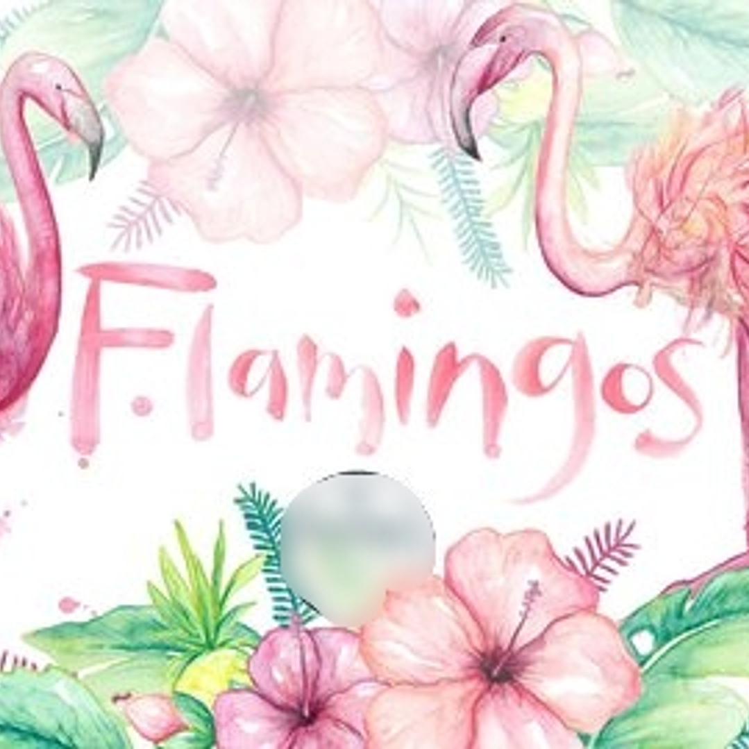 Kit Digital Flamingo 1