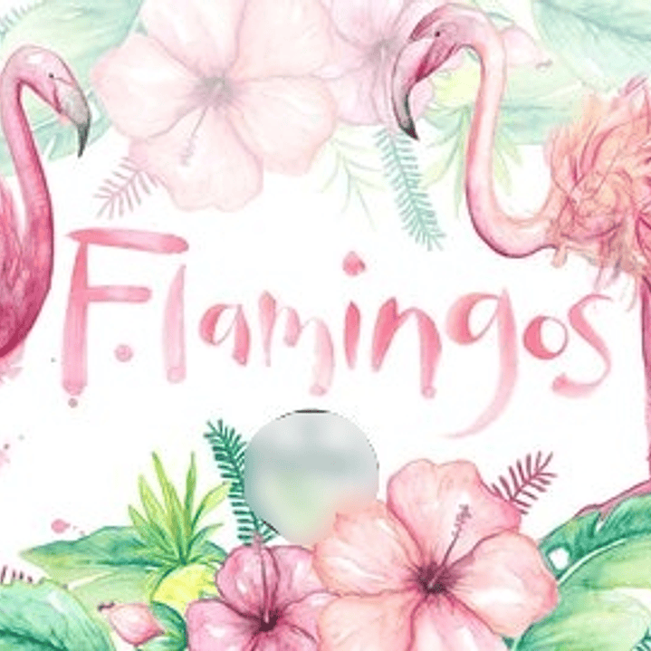 Kit Digital Flamingo 1