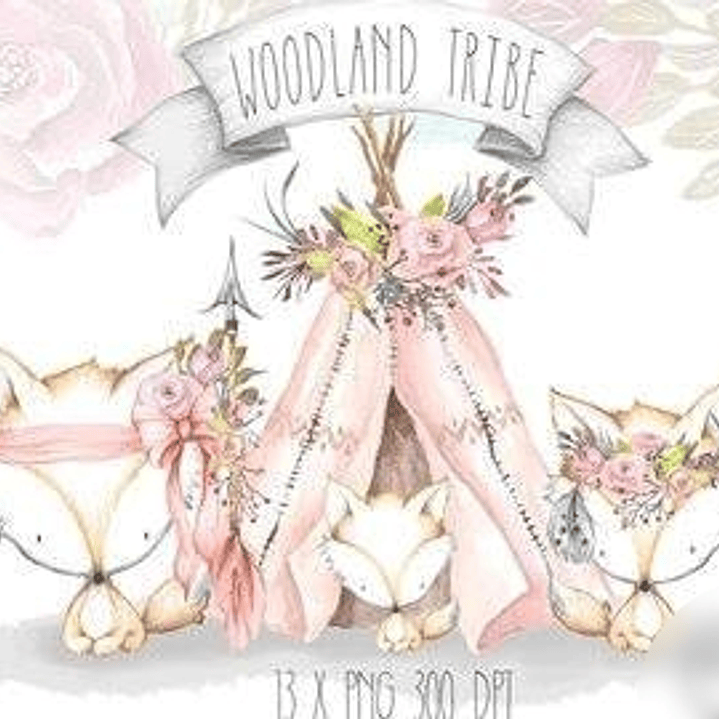 Kit Digital Cabana das Raposas  1