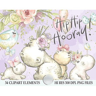 Kit Digital Hipopótamo