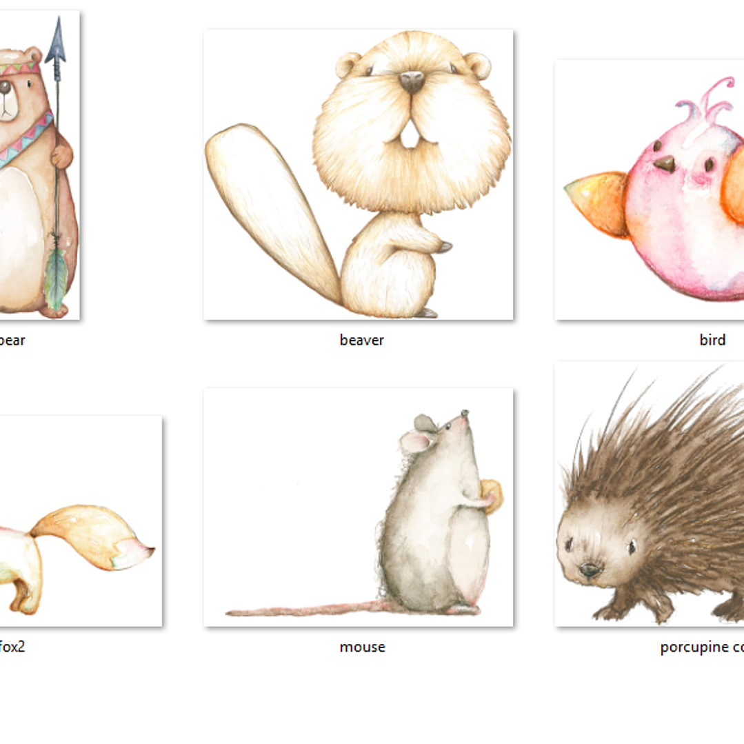 Kit Digital Porco Espinho 2