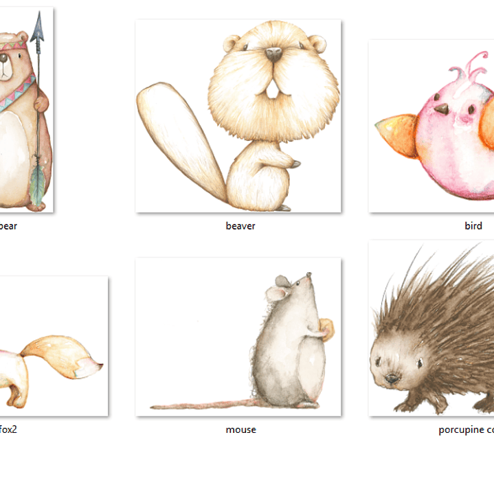 Kit Digital Porco Espinho 2