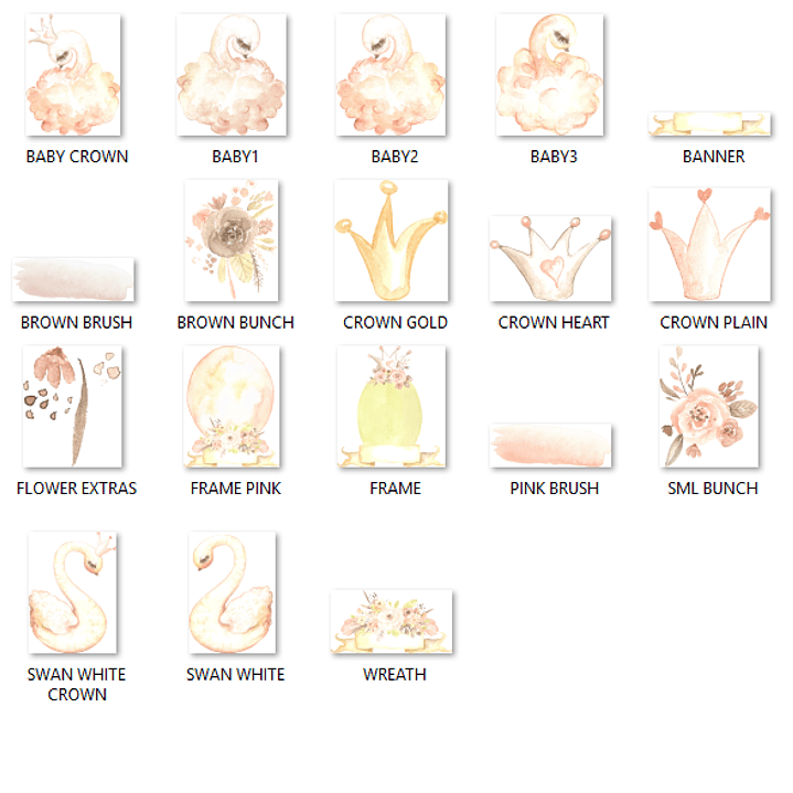 Kit Digital Swan Dança 2