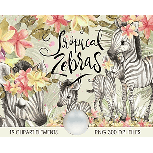 Kit Digital Zebrinhas 