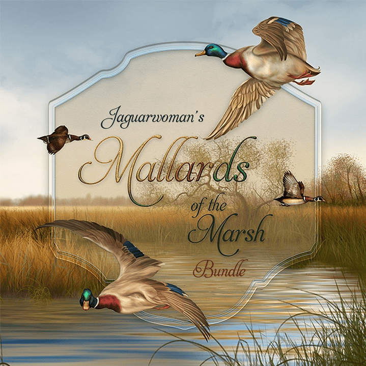 Kit Digital Patos no Lago  1